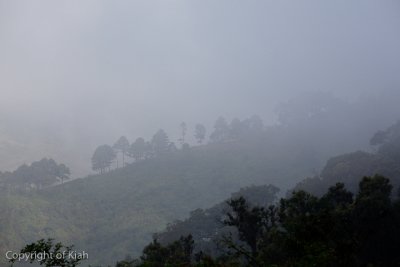 IMG_9674.jpg