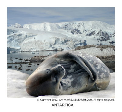 antartica