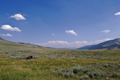 Yellowstone-2716.jpg