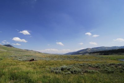 Yellowstone-2717.jpg