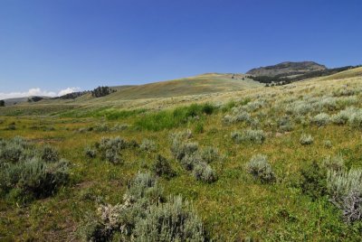 Yellowstone-2718.jpg