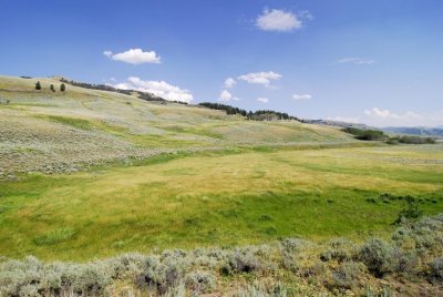 Yellowstone-2722.jpg