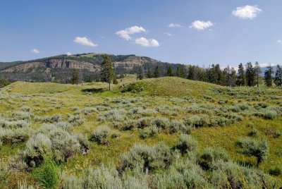 Yellowstone-2728.jpg