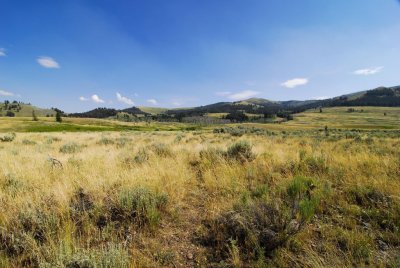 Yellowstone-2732.jpg