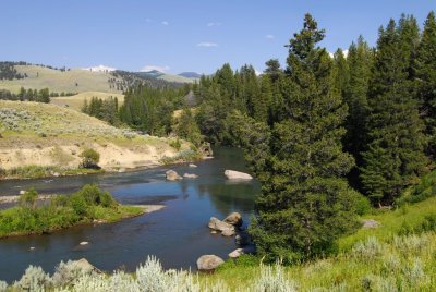 Yellowstone-2735.jpg