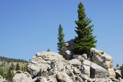 Yellowstone-2892.jpg