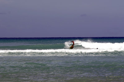 _MG_3356b.jpg