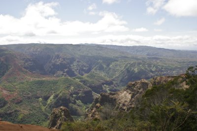 _MG_3824.jpg