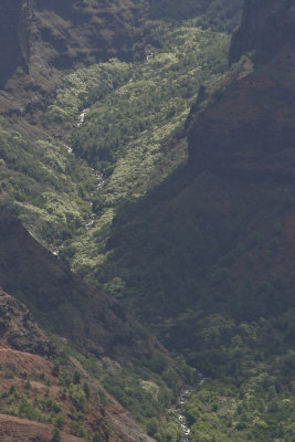 _MG_3844.jpg