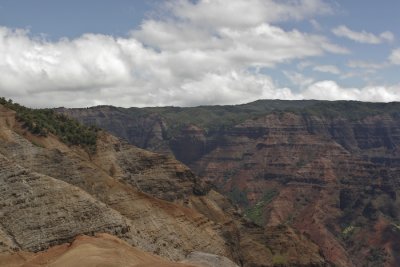 _MG_3845.jpg