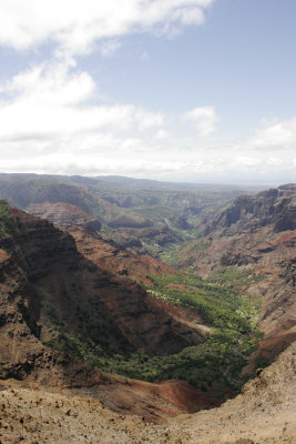 _MG_3862.jpg