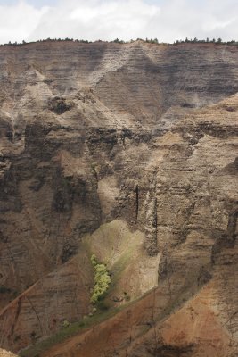_MG_3873.jpg