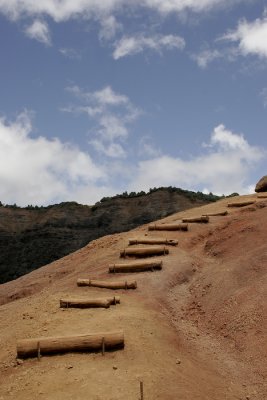 _MG_3880.jpg