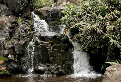 _MG_3893.jpg
