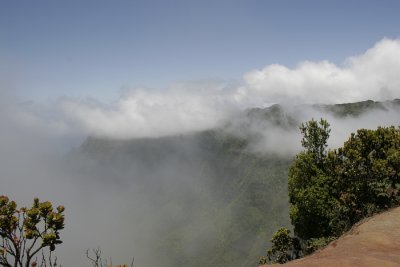 _MG_3923.jpg