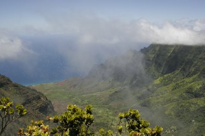 _MG_3931.jpg
