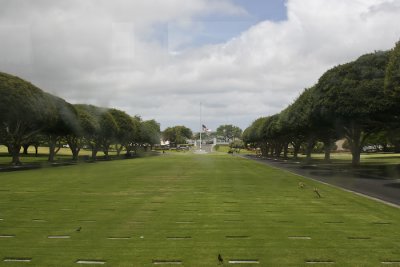 _MG_4550.jpg