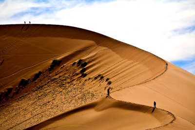 Dunes and Desert