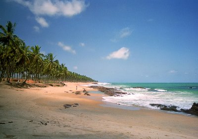 Coconut Grove