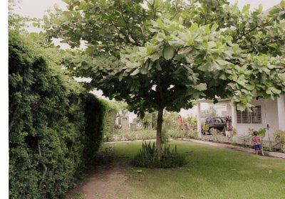 g1/98/592398/3/115664916.cZNR9s0g.jpg