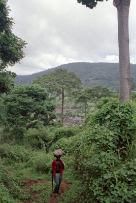 Nkaukau Ridge