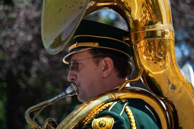 one tuba