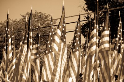 flags and wires