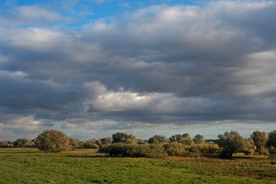 Elbe River Landscape, 2012