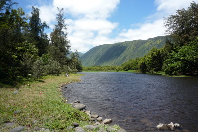 Waipio River