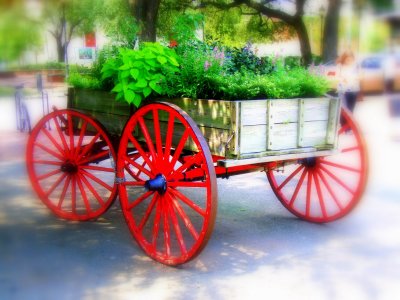 Flowercart