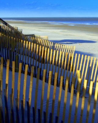 Winter Beach (OBX)