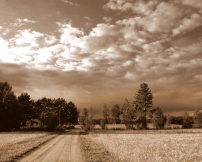 On a Walk to Klockarns, Sweden sepia