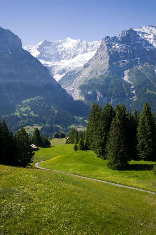 Grindelwald