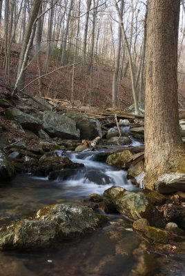 Yellow Springs, Maryland