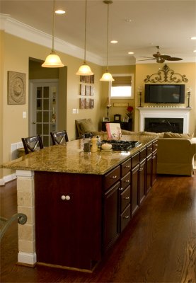 Kitchen and Familyroom