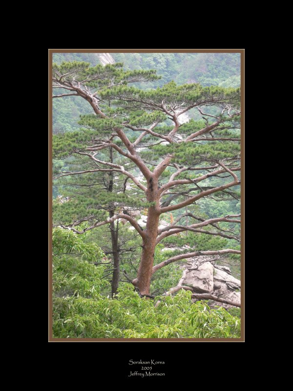 Soraksan in Summer
