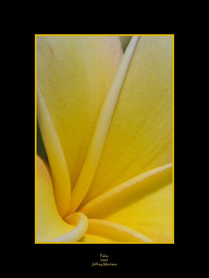 Flowers of Palau