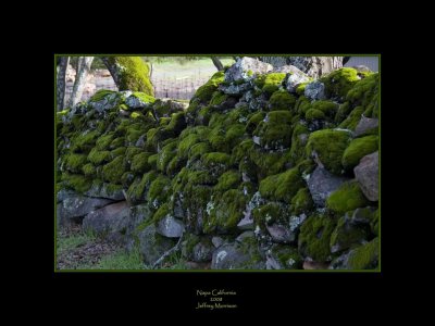 Silver Oak Winery
