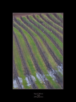 Winter in Napa