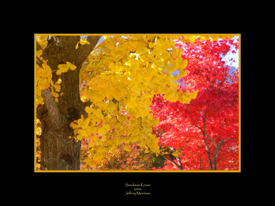 Soraksan Fall Colors
