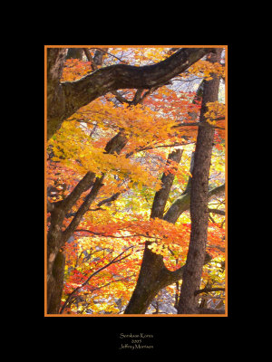 Soraksan Fall Colors