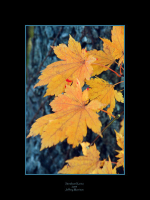 Soraksan Fall Colors