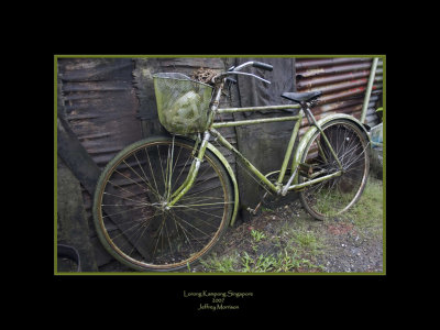 Seldom Used Bike