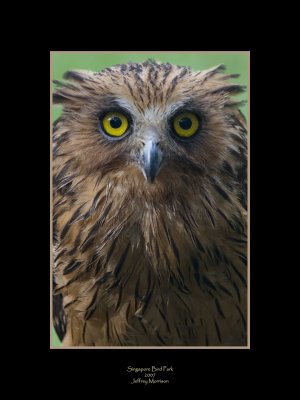 Bird Park