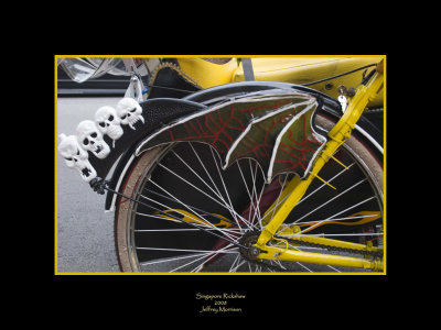 Bicycle Rick Shaw