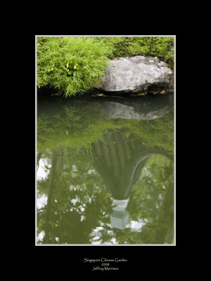 Pond Reflections