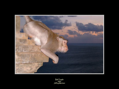 Monkey Temple
