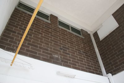 Before: Looking up from patio