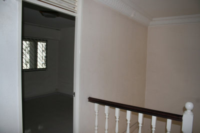 Before: Looking into future den from landing
