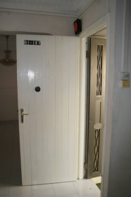 Before: Really nice front door (NOT!)